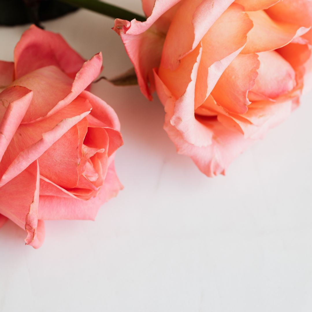 Viv'Event agence évènementielle éco-responsable roses fleurs mariages