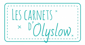 partenariat avec les carnets d'olyslow - séminaires et évènements professionnels RSE